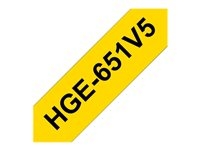  -  - HGE651V5