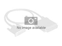 Servers - Accessoires - P56913-B21