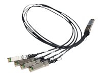 Accessoires et Cables - Câbles réseau - JG329A