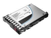 Hard Drives & Stocker - Internal SSD - P13699-B21