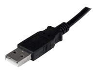  -  - USB2DVIPRO2